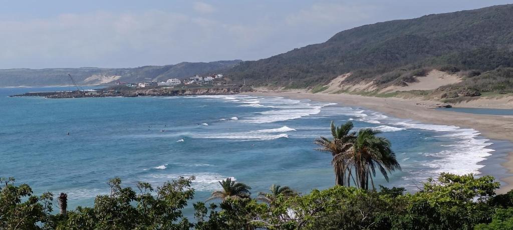 a beach with a palm tree and the ocean at La View 麗晨 Homestay in Manzhou
