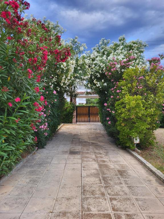 Zahrada ubytování Tropico House