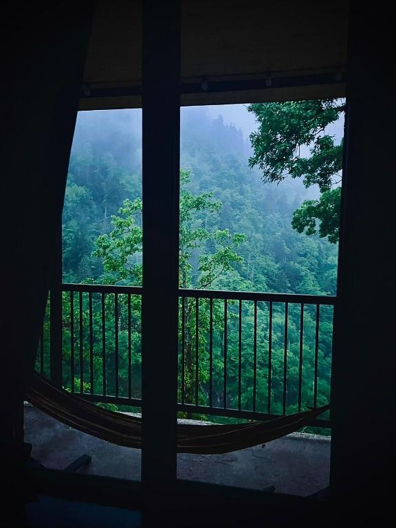 a room with a view of a forest from a window at Panorama Orcs in Borjomi