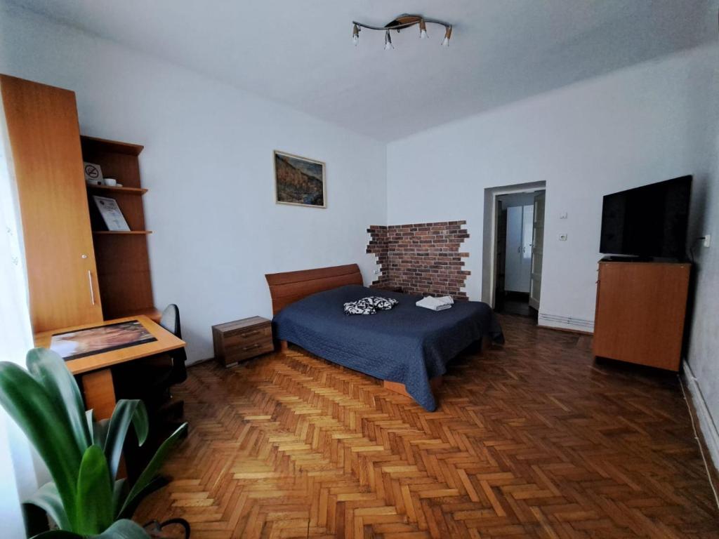 a bedroom with a bed and a television in a room at APARTMENT POPS in Cluj-Napoca