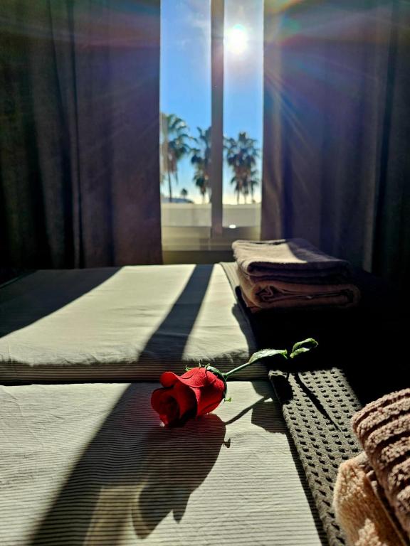 Postel nebo postele na pokoji v ubytování La Rosa de los vientos luxury apartment