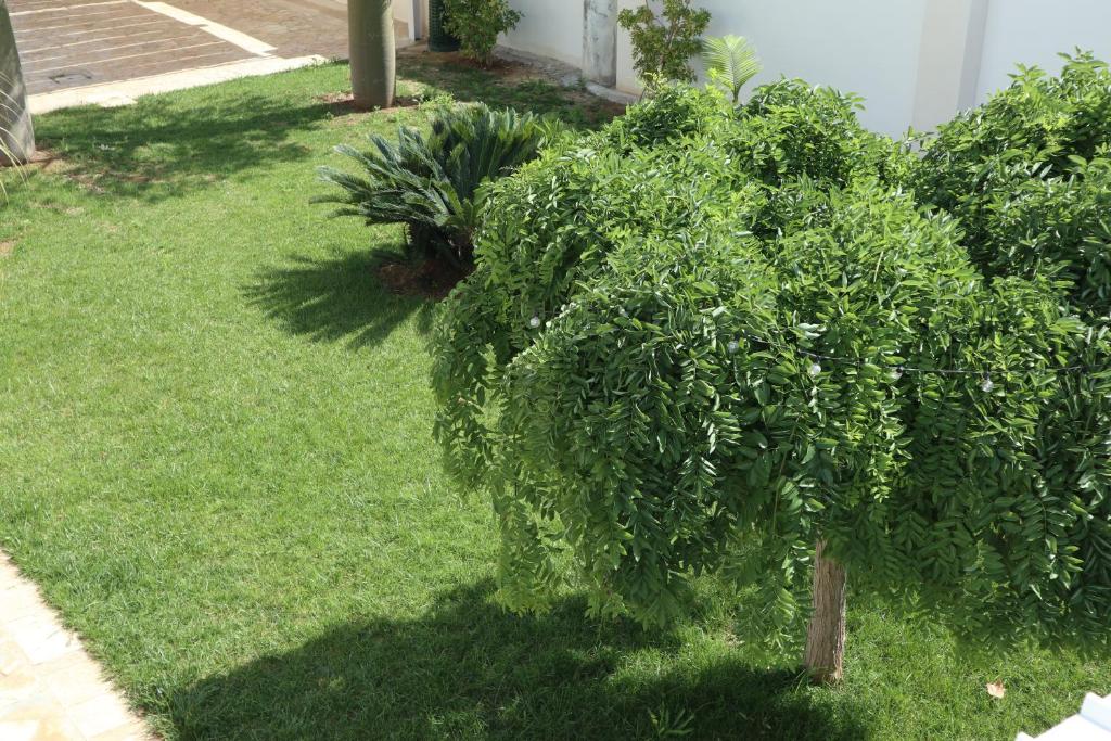 Adagio Salentino - 17