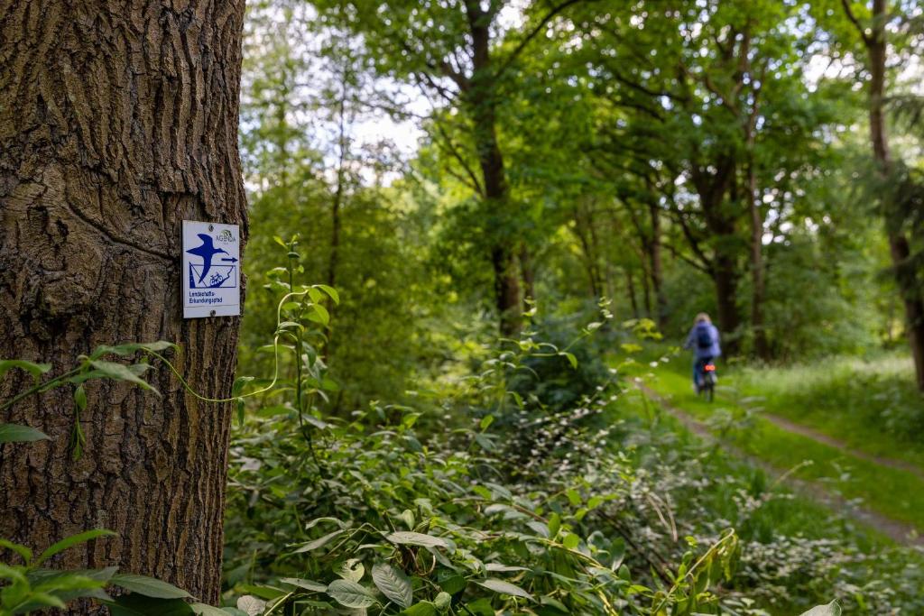 Hosté ubytování Ferienhaus Liegeplatz Dangast