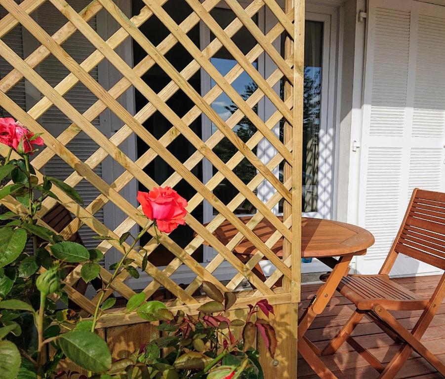 une clôture en treillis de bois sur un patio avec une rose dans l'établissement Proche Lorient Location meublée confortable pour 2 personnes, à Cléguer