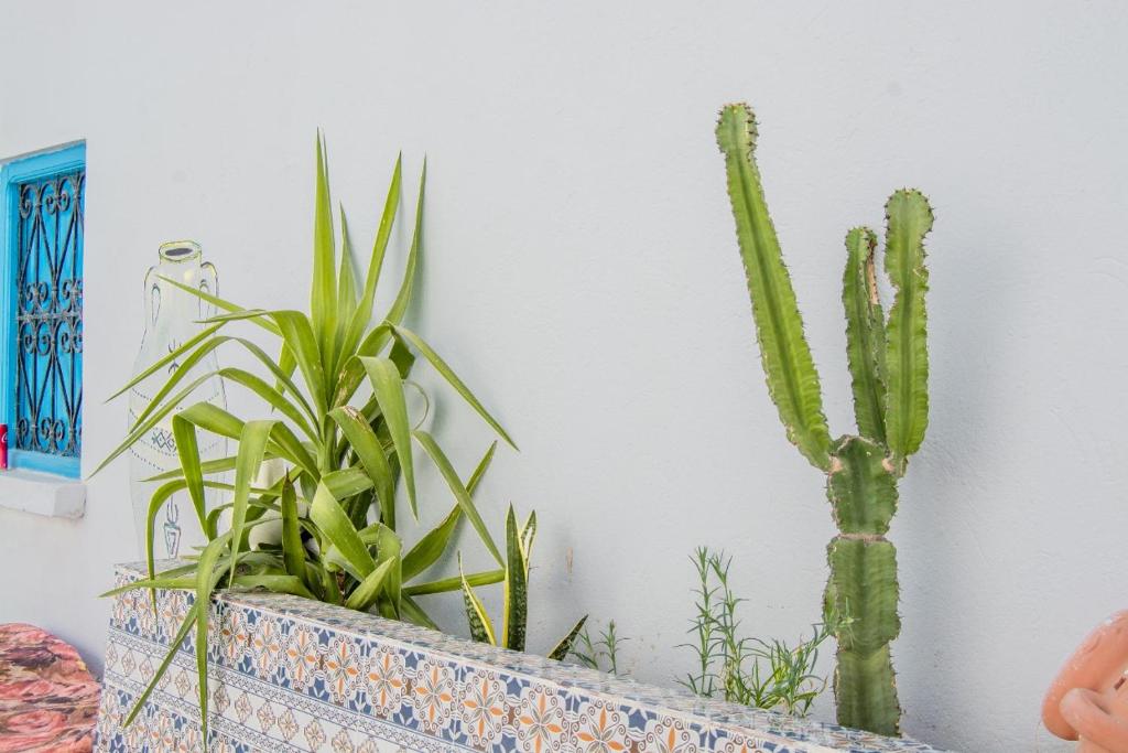 Fotografie z fotogalerie ubytování Villa Djerba v destinaci Houmt Souk