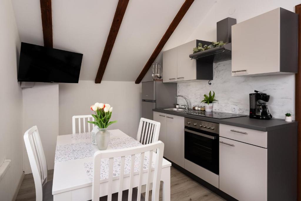 Kuchyň nebo kuchyňský kout v ubytování Apartman Malnar Lokve