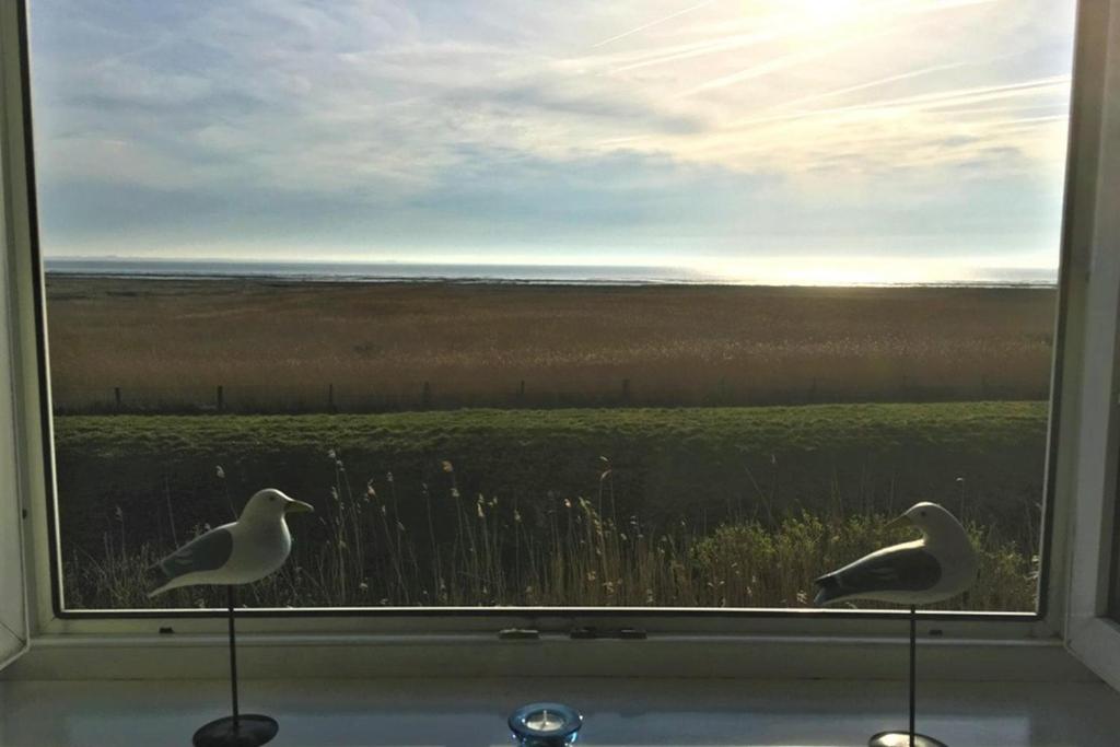 two seagulls standing in a window looking out at a field at Thora Jaiken Hüs Thora Jaiken, Apart Anneke in Rantum
