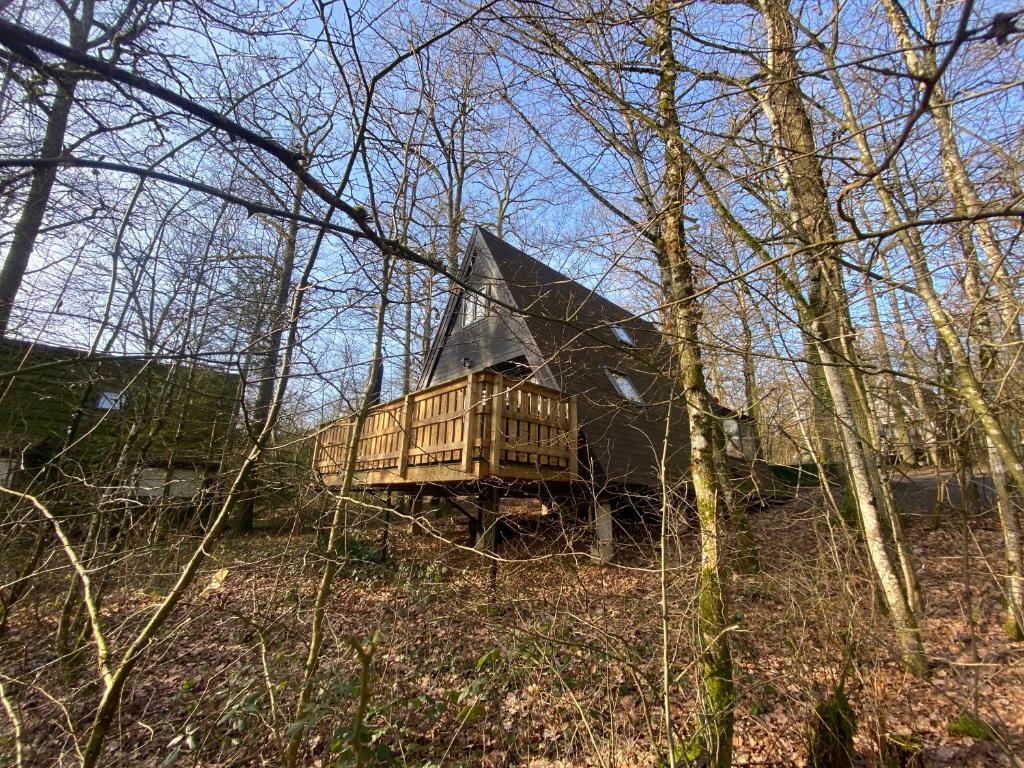 a wooden house with a roof in the woods at Chalet 23 in Durbuy