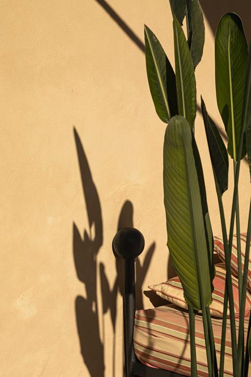 Fotografie z fotogalerie ubytování Hotel Certosa Di Maggiano v Sieně