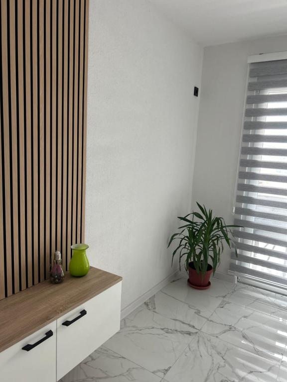 Fotografie z fotogalerie ubytování Apartmani Stars v destinaci Sarajevo