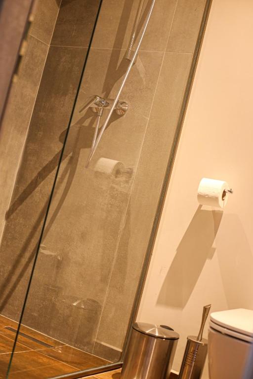 Casa Iacob ApartHotel - Resim 12