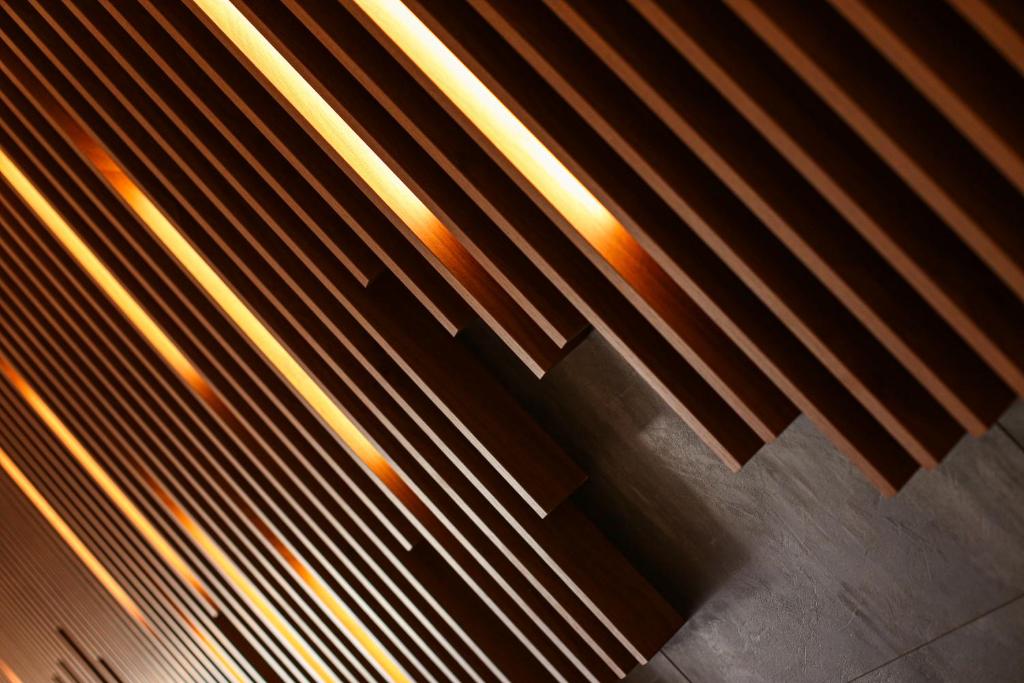 Casa Iacob ApartHotel - Resim 37