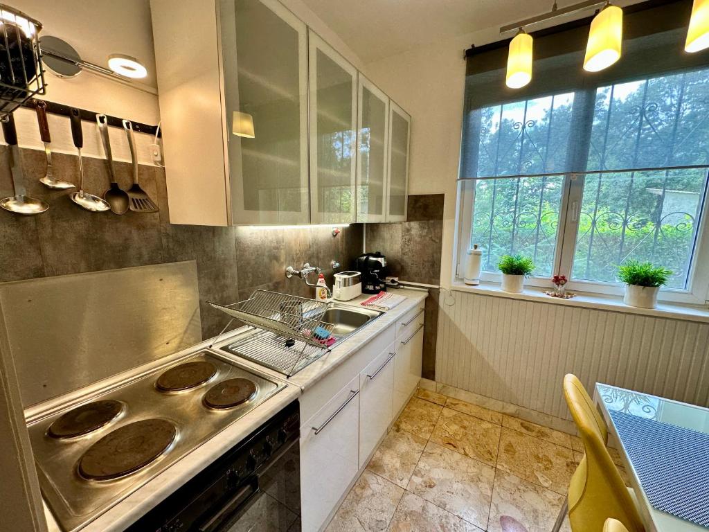 Kuchyňa alebo kuchynka v ubytovaní Pálkövei 65. Apartman