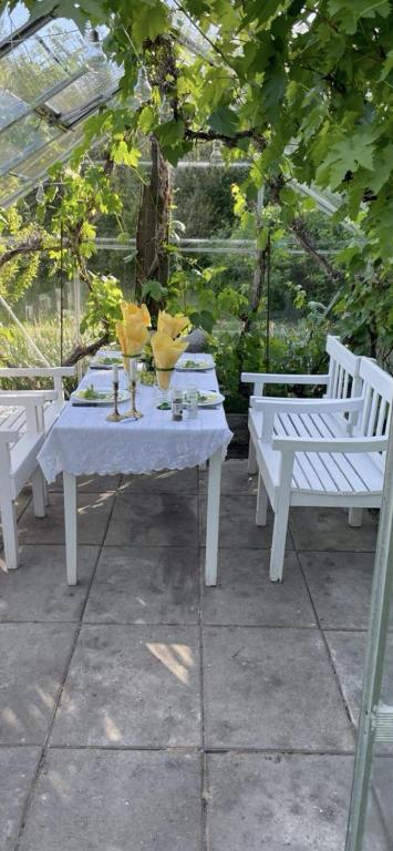 Zahrada ubytování Store Diget Bed & Breakfast