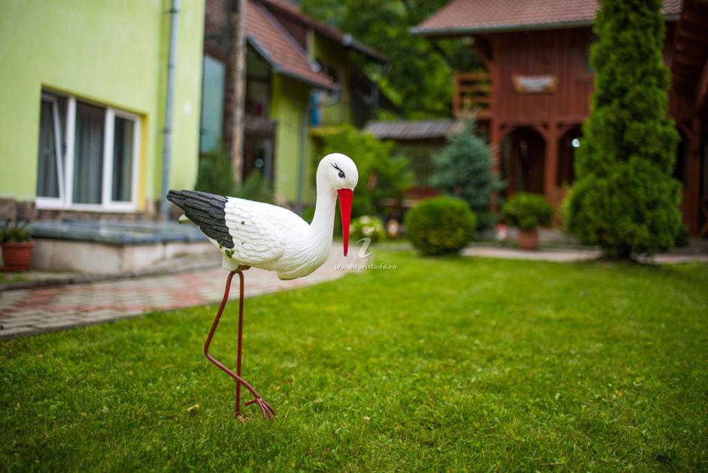 Fotografie z fotogalerie ubytování Pensiunea George v destinaci Gura Rîului
