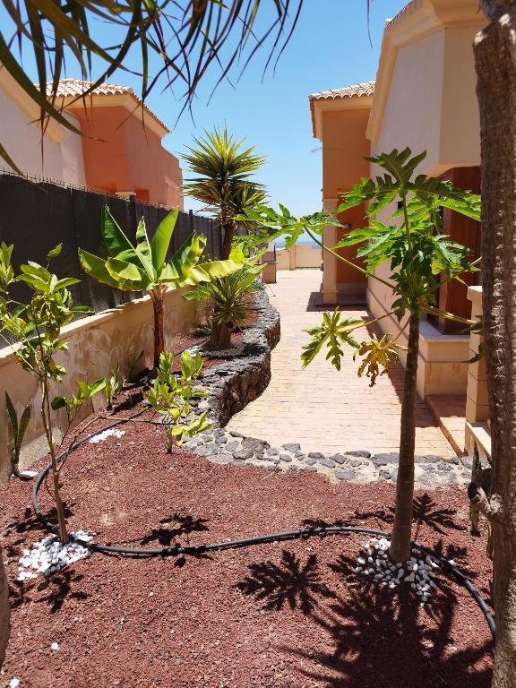 a courtyard with a bunch of trees and buildings at Casa Lily in Caleta De Fuste