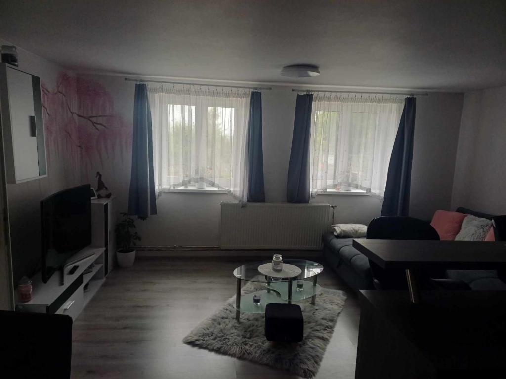 TV a/nebo společenská místnost v ubytování Ubytování Dobešov