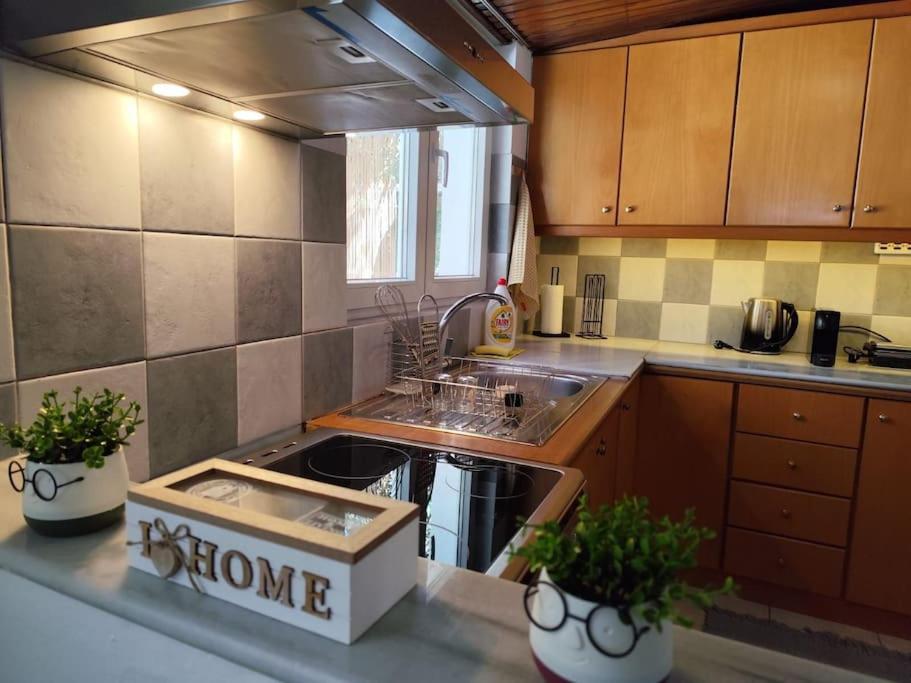 Kuchyň nebo kuchyňský kout v ubytování Lemon Tree House Poros