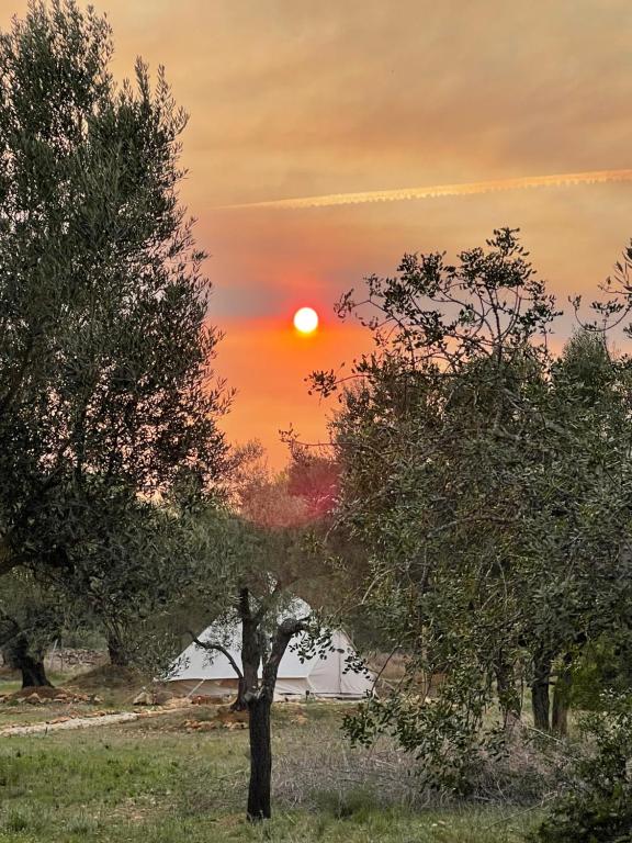 a sunset behind two trees in a field at Bellissima Bell Tent - Romantic Glamping Retreat in Nature in Tortosa