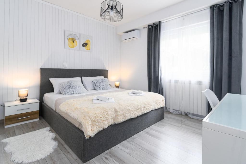 Apartment Raffaello