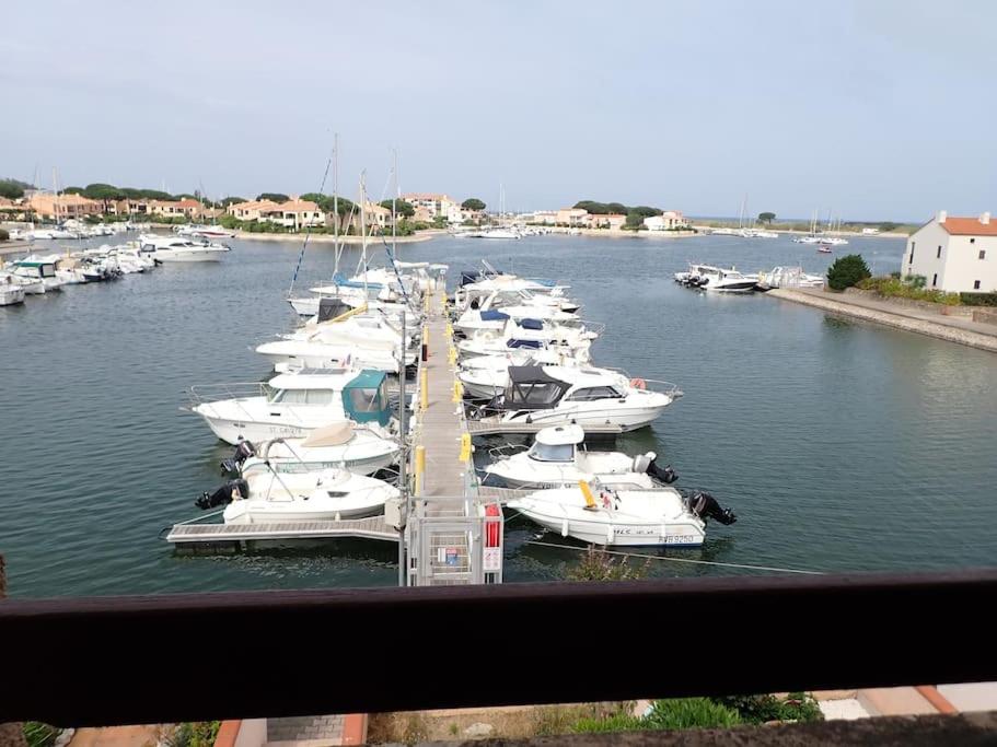 Un tas de bateaux sont amarrés dans un port de plaisance dans l'établissement Appartement vue mer sur marina, à Saint-Cyprien