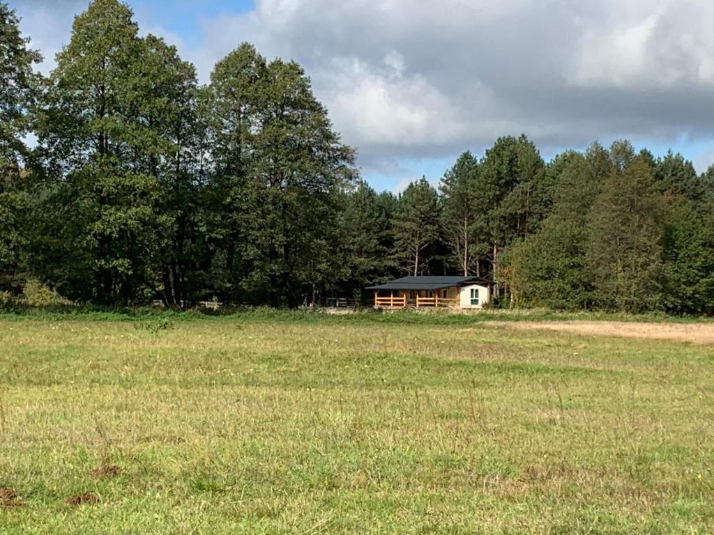 a house in the middle of a field with trees at Uroczy domek letniskowy w otoczeniu przyrody in Błonie