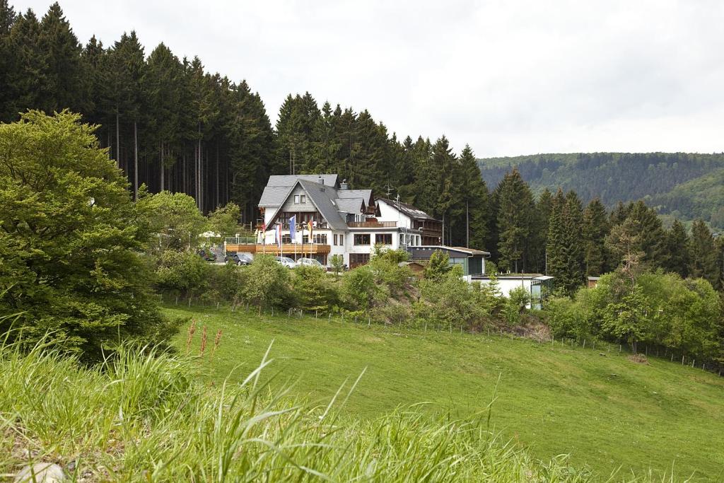 Wald Hotel Willingen - 5