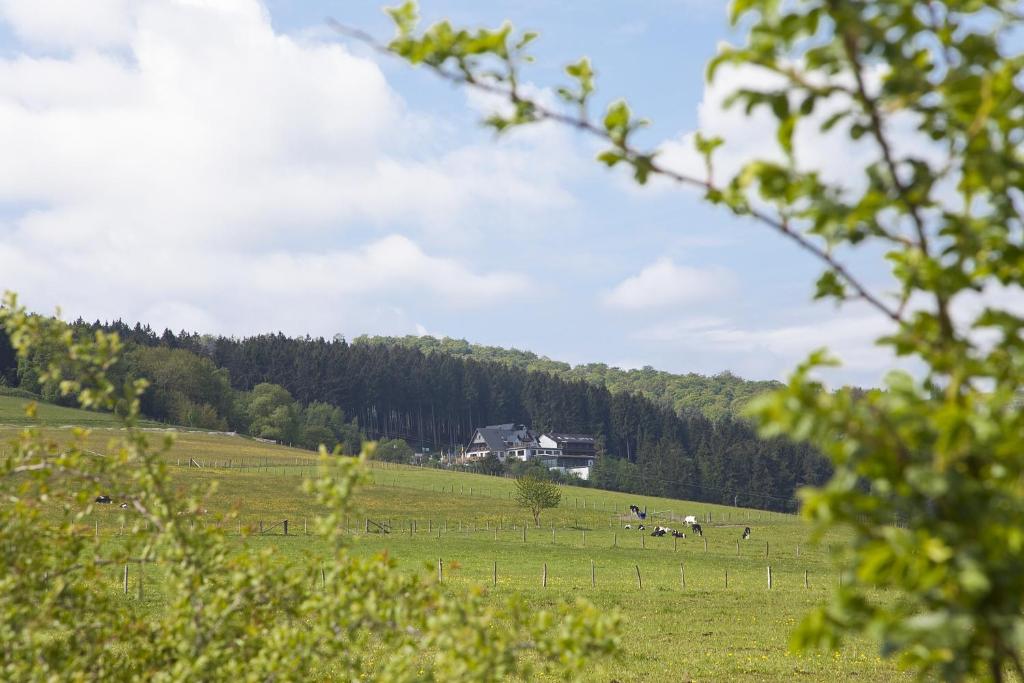 Wald Hotel Willingen - 11