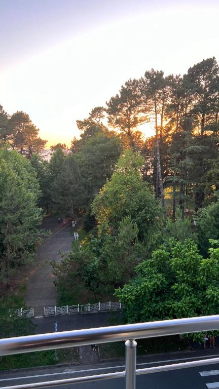 Příroda nedaleko hotelu