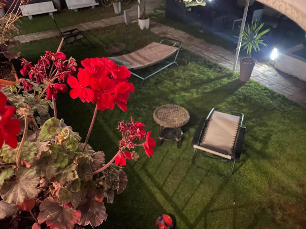 Zahrada ubytování SOLARIS PAESTUM