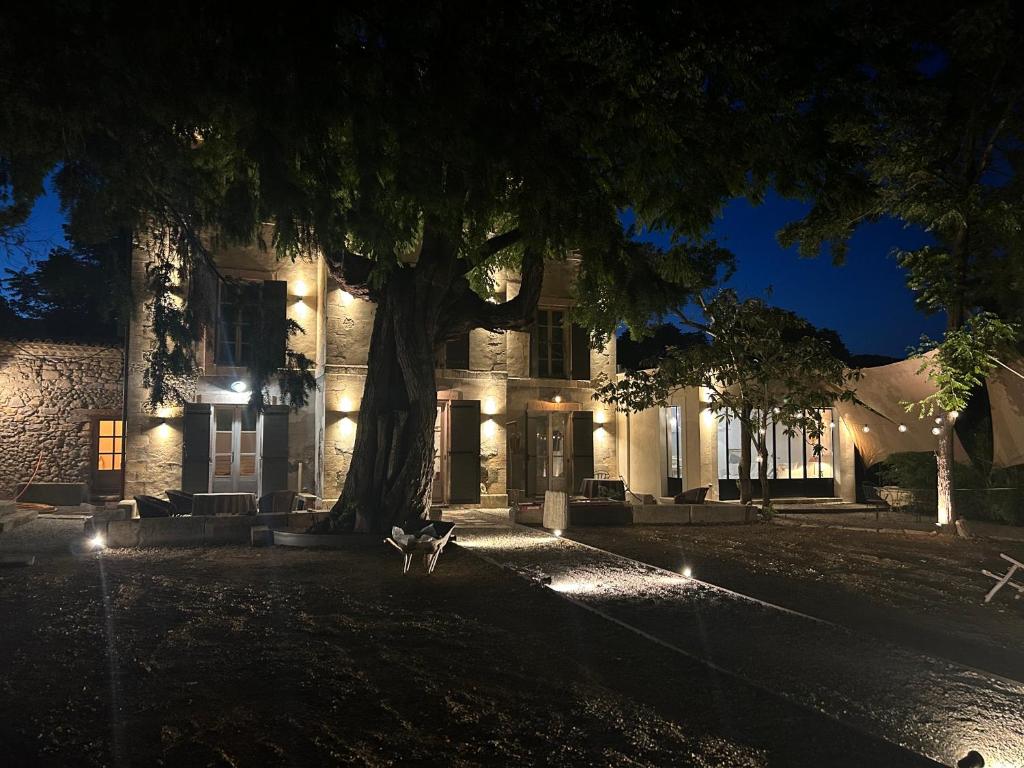 un arbre devant un bâtiment la nuit dans l'établissement Maison d'hôtes La Datcha, à Manosque