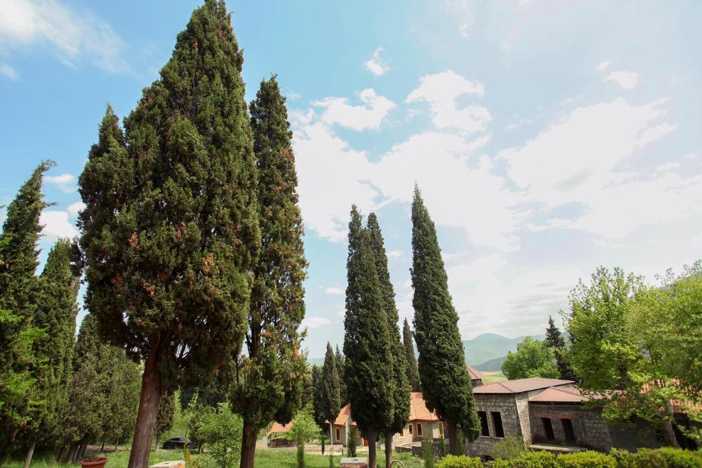 Zahrada ubytování Aramyants Castle
