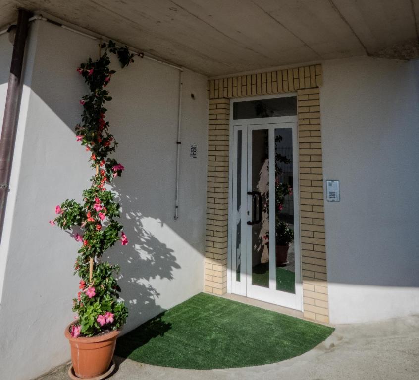 Fotografie z fotogalerie ubytování B&B "LE LUCI" SUPER CAMERA IN ATTICO interno 3 rose rosse v destinaci Vasto