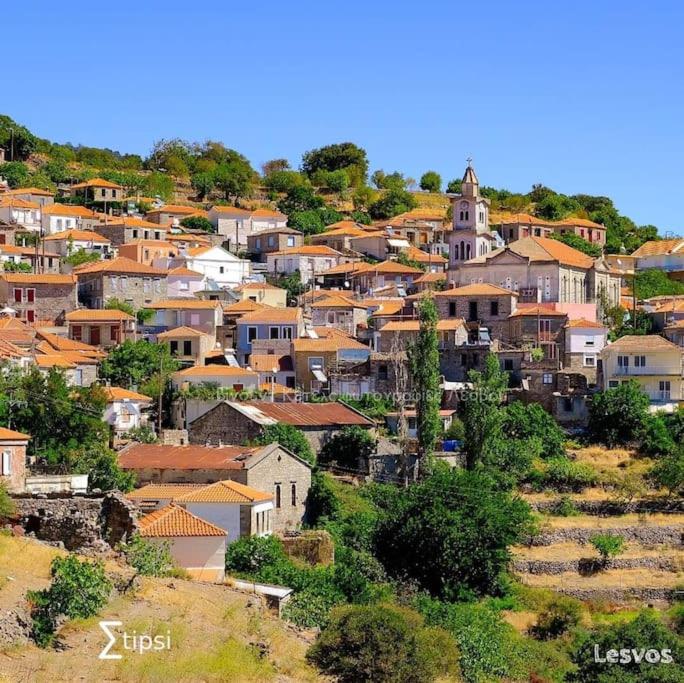 Gallery image of Παραδοσιακός Οικισμός Manavi in Stýpsi