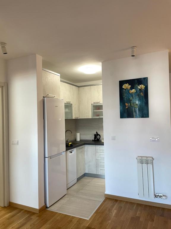 Kuchyň nebo kuchyňský kout v ubytování Apartman Luni