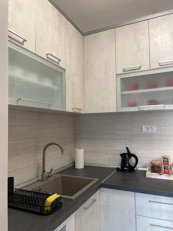 Kuchyň nebo kuchyňský kout v ubytování Apartman Luni