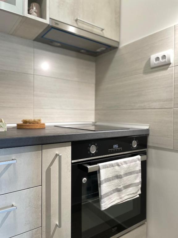 Kuchyň nebo kuchyňský kout v ubytování Apartman Luni