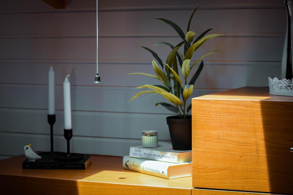 a table with books and candles and a potted plant at Estevi Apartment in Kavala