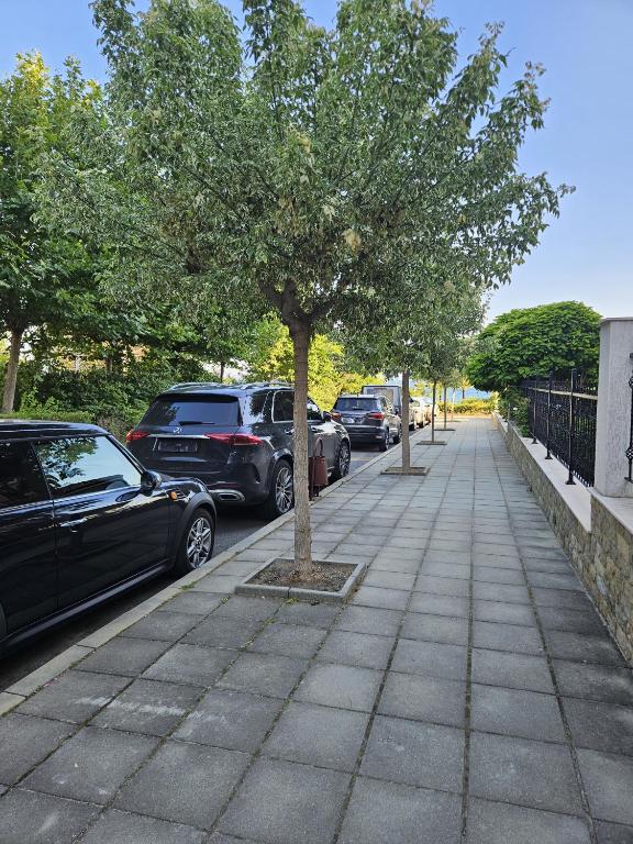 Fotografie z fotogalerie ubytování Apartments Anna on Saint Vlas v destinaci Sveti Vlas
