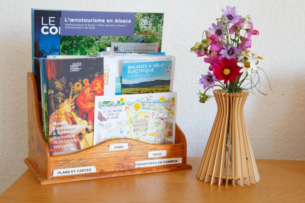 Grand duplex familial 113 m - Jardin - Colmar Gare - 4 Chambres – photo 59