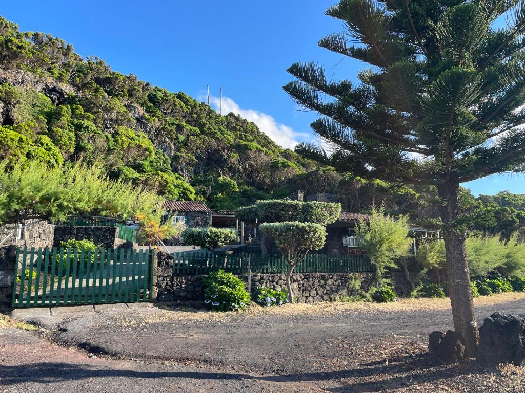 una casa con una valla y un pino en Casa do Carregadouro - Seaside Retreat, en São Roque do Pico