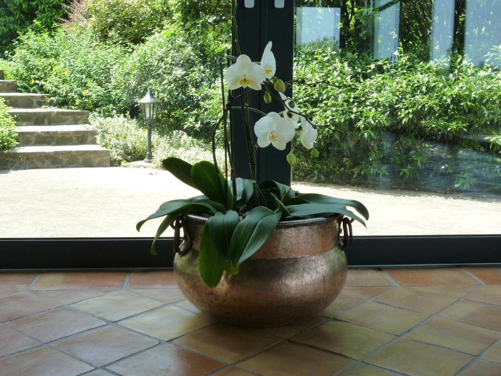Vonkajšia záhrada v ubytovaní Country House Barone D'Asolo