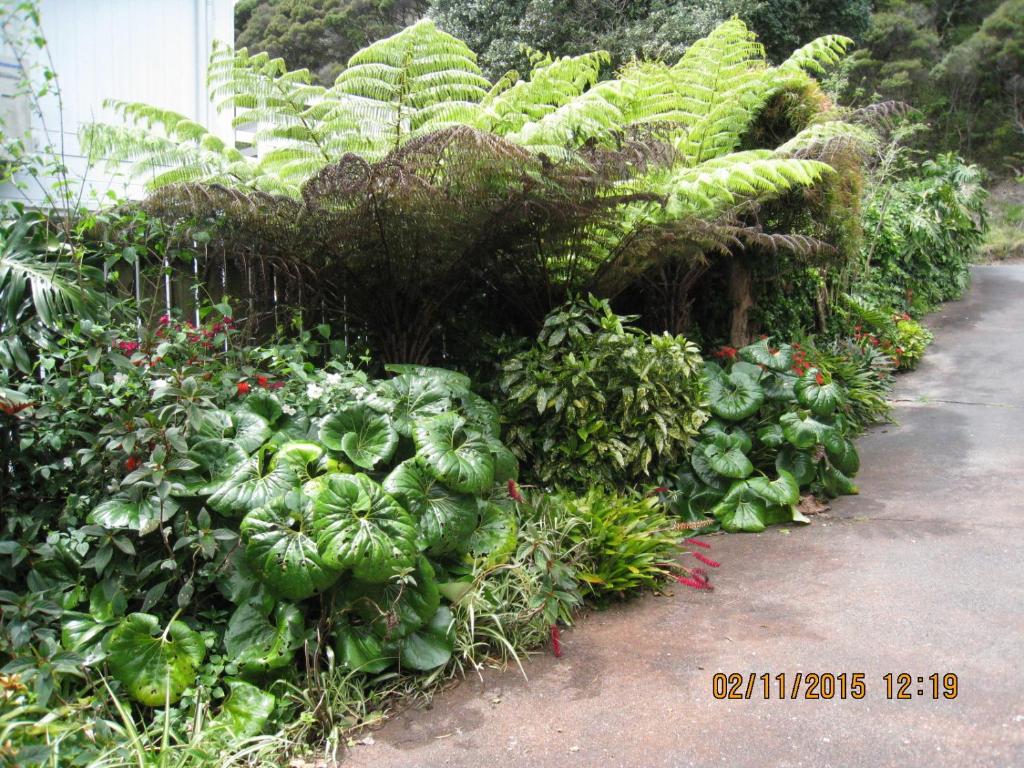 Alfa Boutique Motel - Resim 28