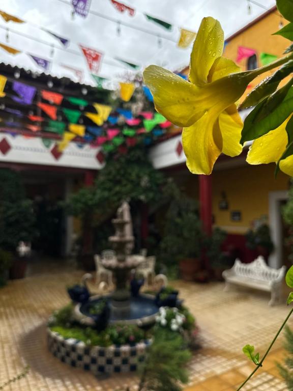 Zahrada ubytování Copa de Oro Hotel Boutique