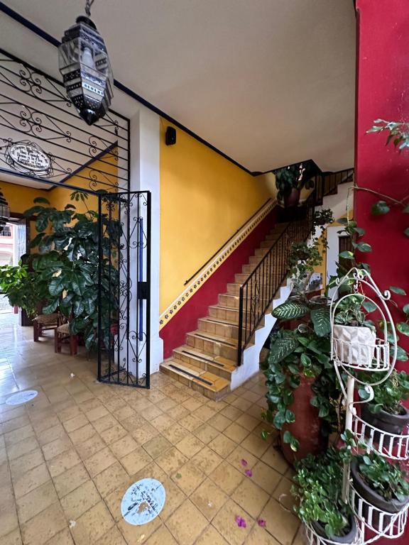 Fotografie z fotogalerie ubytování Copa de Oro Hotel Boutique v destinaci Mascota