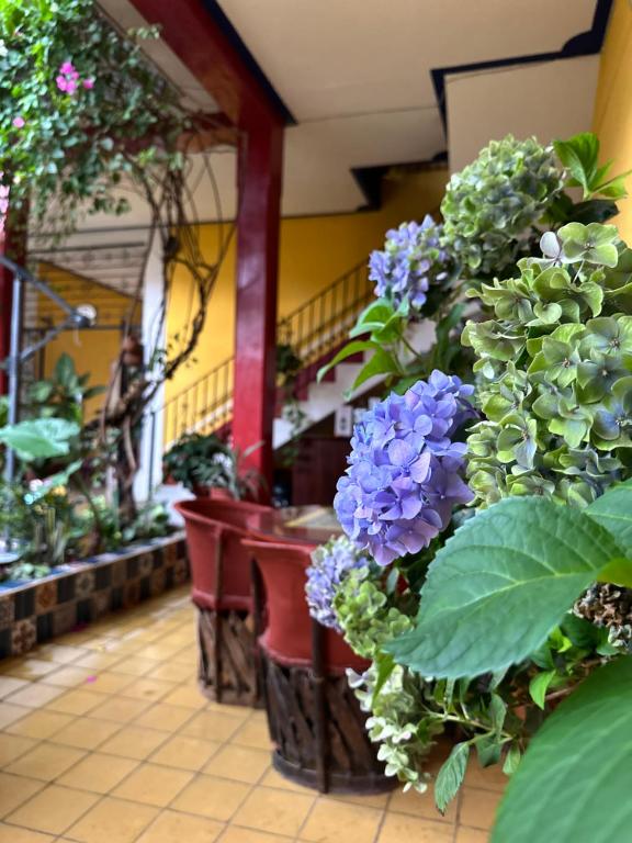 Zahrada ubytování Copa de Oro Hotel Boutique