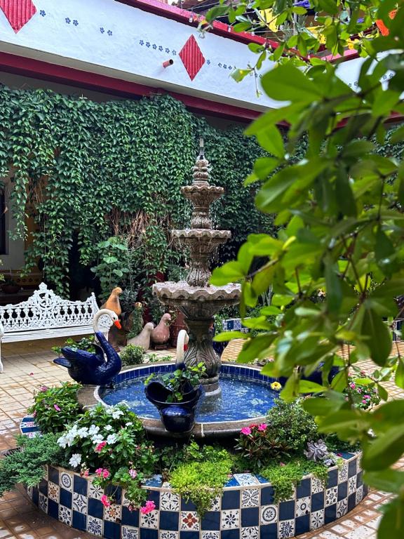 Zahrada ubytování Copa de Oro Hotel Boutique