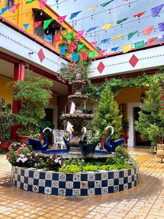 Zahrada ubytování Copa de Oro Hotel Boutique