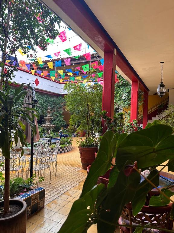 Zahrada ubytování Copa de Oro Hotel Boutique