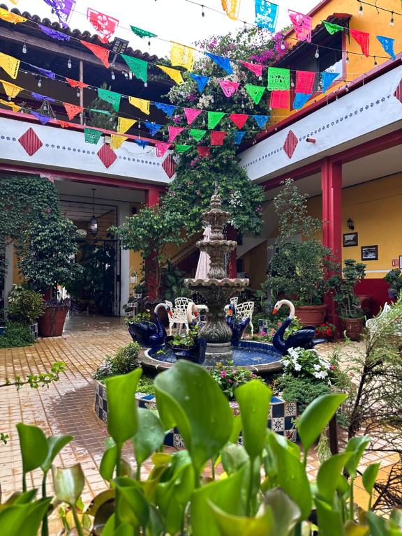 Zahrada ubytování Copa de Oro Hotel Boutique